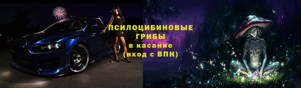 дурь Алексеевка