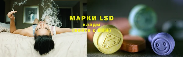 ешки Алзамай