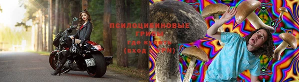 ешки Алзамай