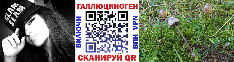 хочу наркоту Мосальск Псилоцибиновые грибы Magic Shrooms